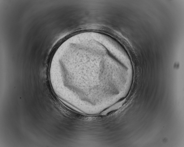 X0000097891166200804041303