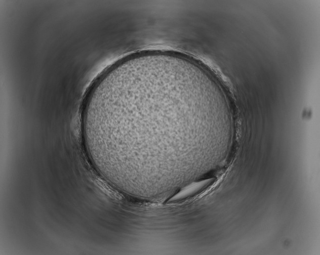 X0000097891167200804041303