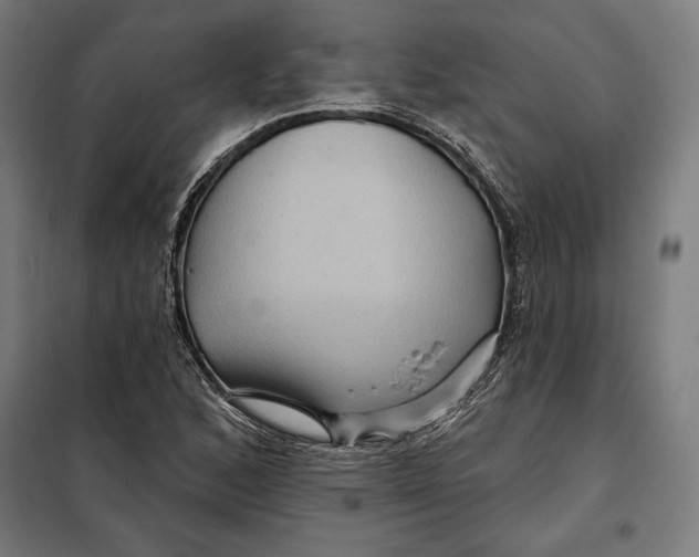 X0000097891168200804041303