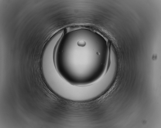 X0000097891169200804041303