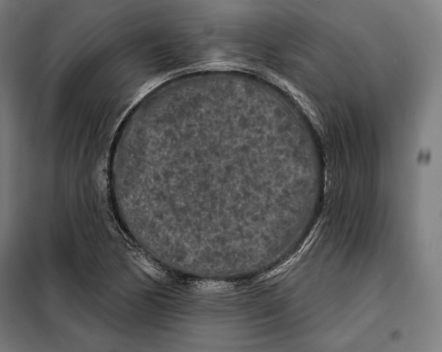 X0000097891170200804041303