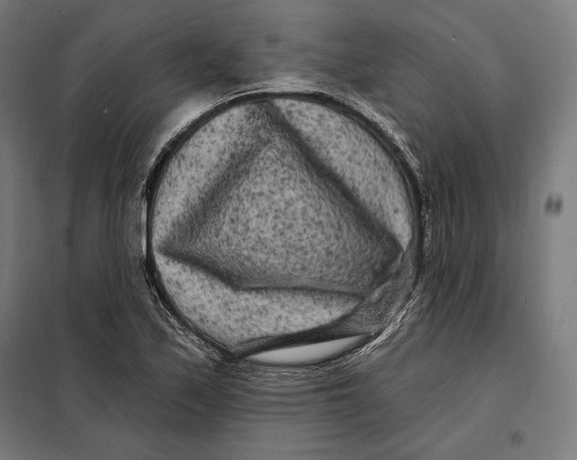 X0000097891171200804041303