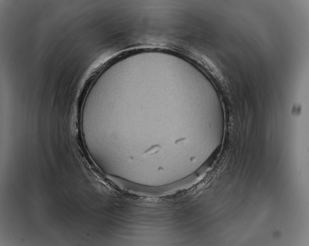 X0000097891172200804041303