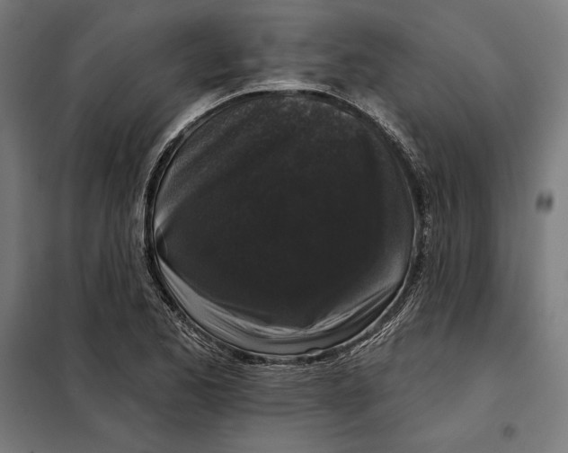 X0000097891173200804041303