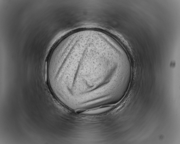 X0000097891175200804041303