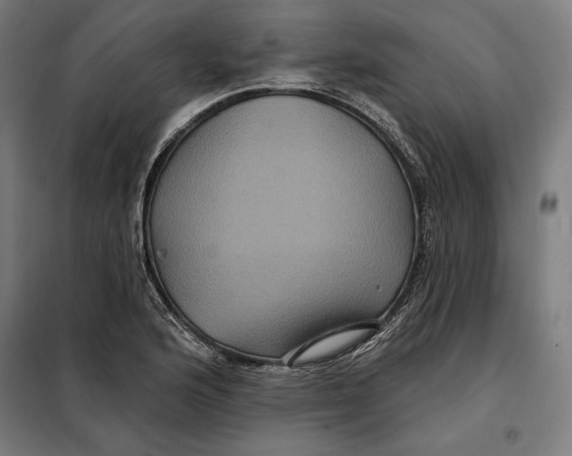 X0000097891176200804041303