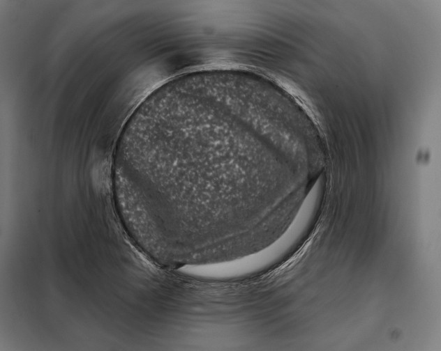 X0000097891177200804041303