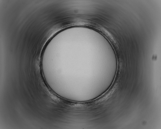 X0000097891178200804041303