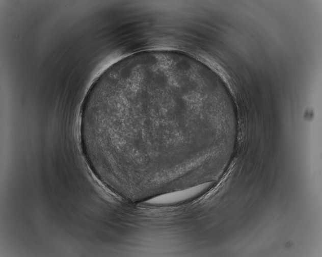 X0000097891179200804041303