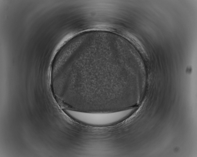 X0000097891180200804041303