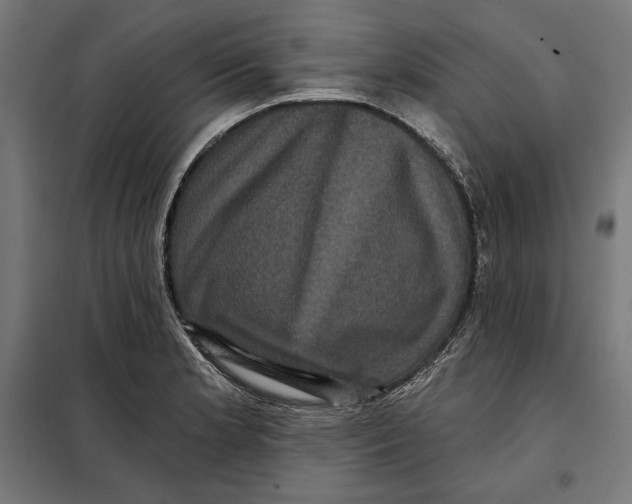 X0000097891181200804041303