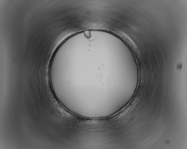 X0000097891182200804041303