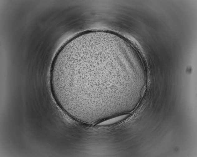 X0000097891183200804041303