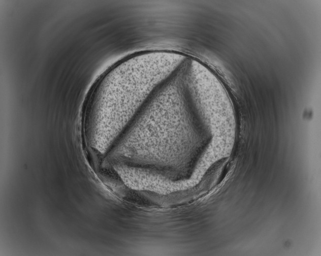 X0000097891184200804041303