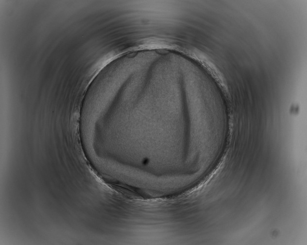 X0000097891185200804041303