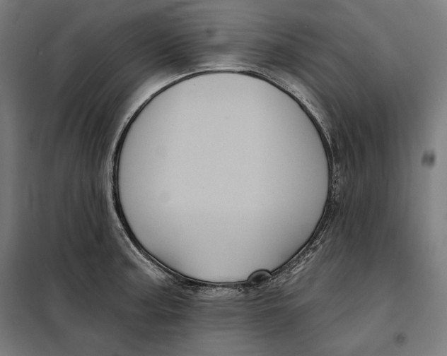 X0000097891187200804041303