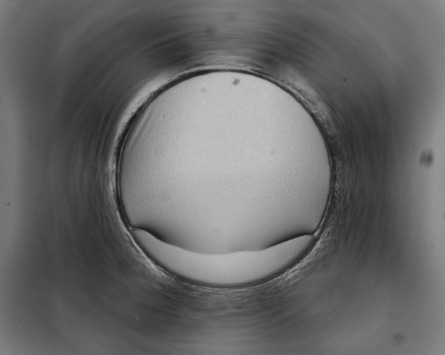 X0000097891188200804041303