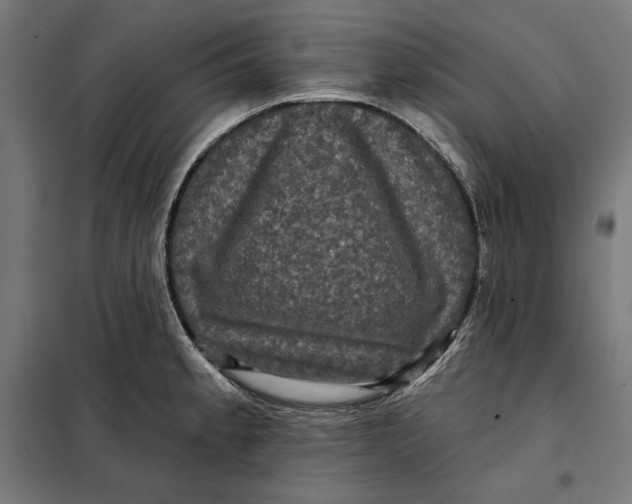 X0000097891189200804041303