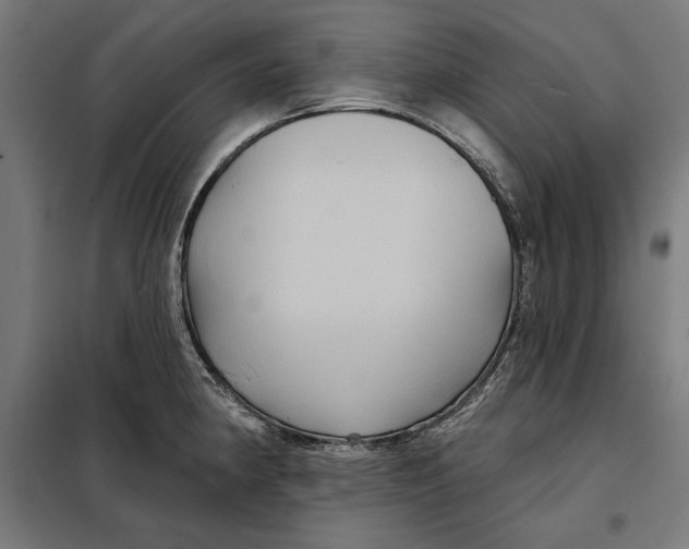 X0000097891190200804041303