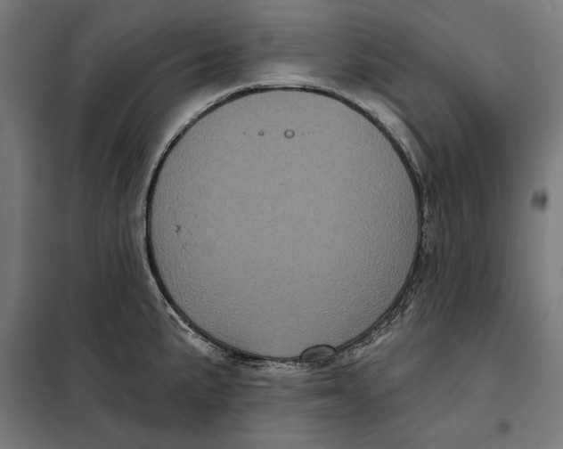 X0000097891191200804041303