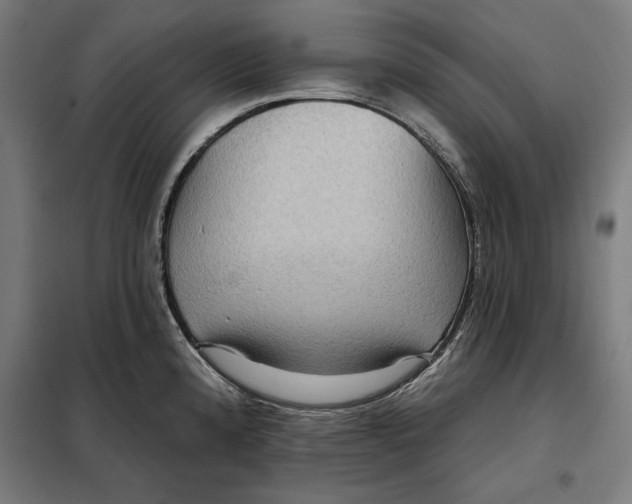 X0000097891192200804041303