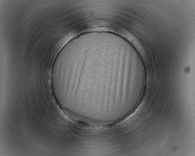 X0000097891193200804041303