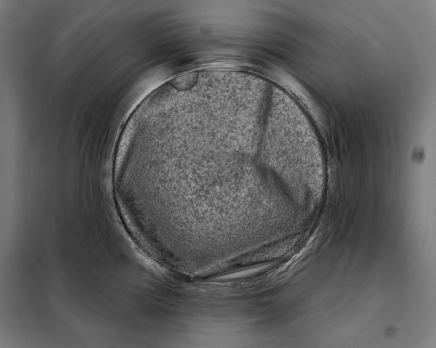 X0000097891194200804041303