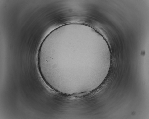 X0000097891195200804041303