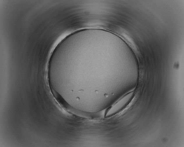 X0000097891196200804041303