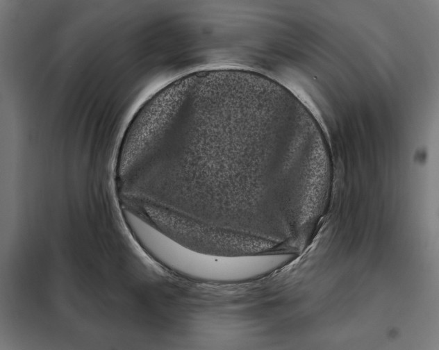 X0000097891197200804041303