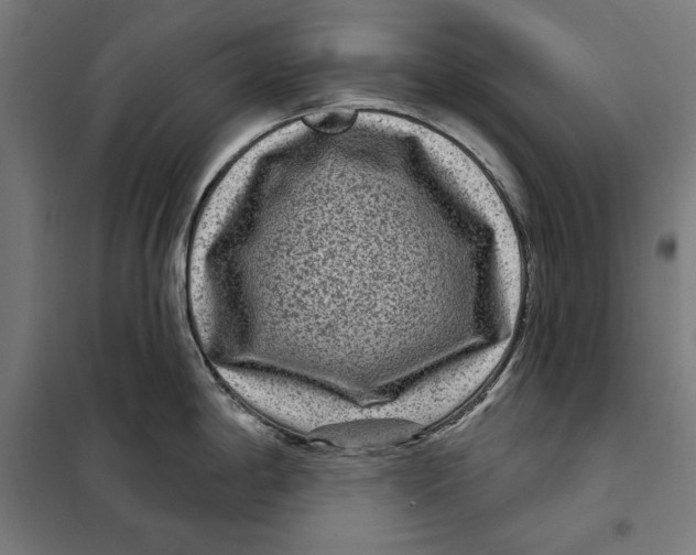 X0000097891198200804041303