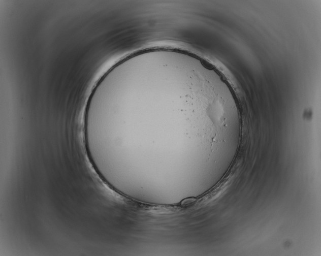 X0000097891199200804041303