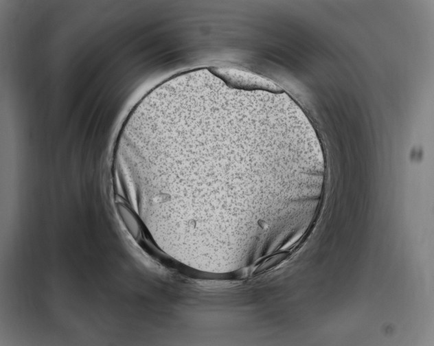 X0000097891200200804041303