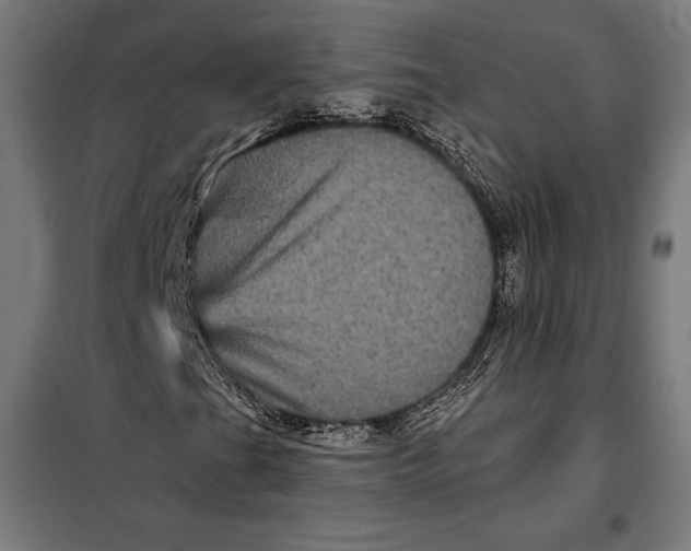 X0000097891201200804041302