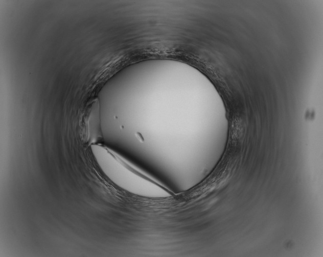 X0000097891202200804041302