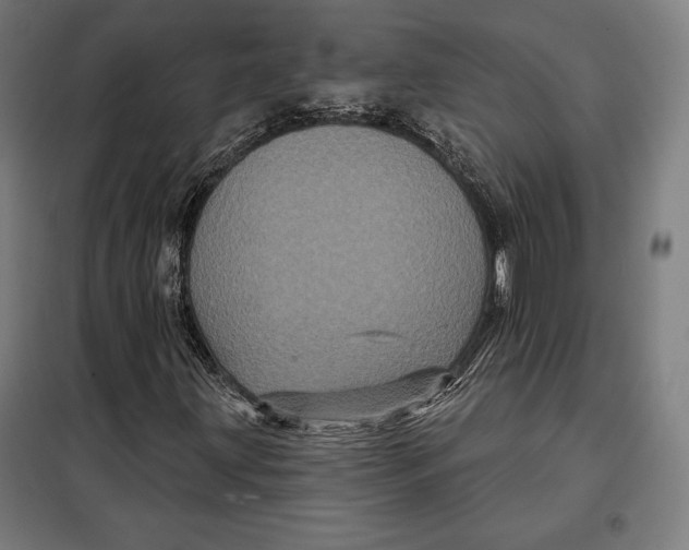 X0000097891203200804041302