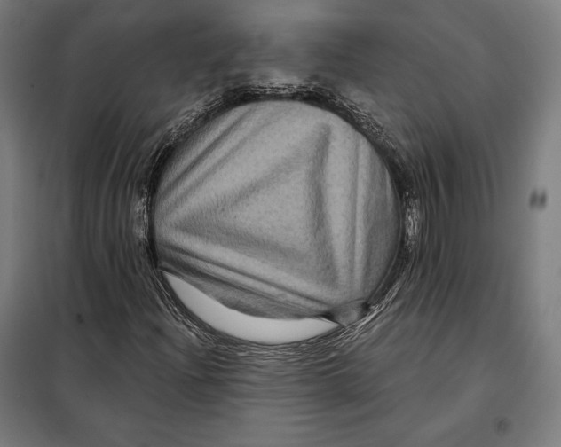 X0000097891204200804041302