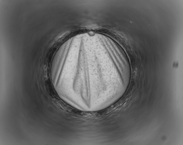 X0000097891205200804041302