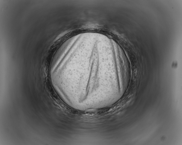 X0000097891206200804041302