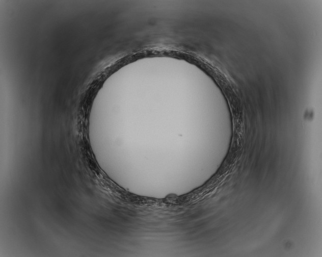 X0000097891207200804041302