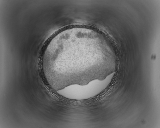 X0000097891208200804041302