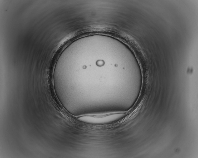 X0000097891210200804041302