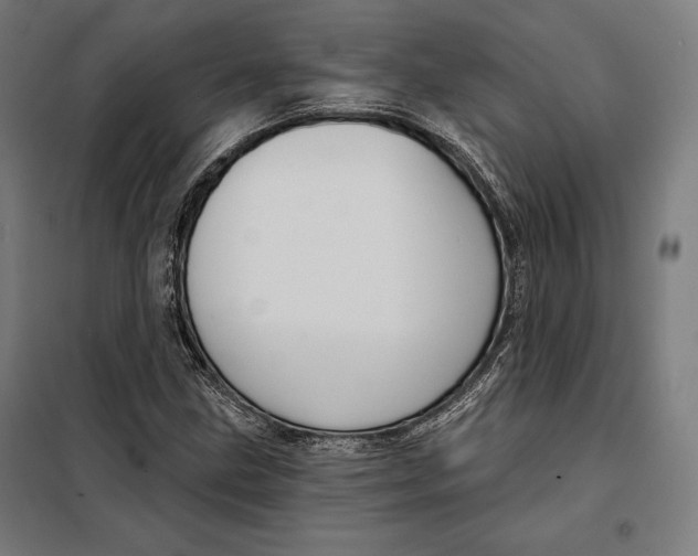 X0000097891211200804041302