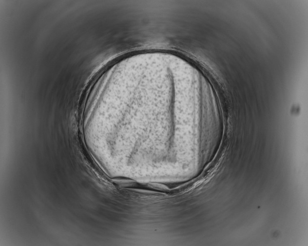 X0000097891212200804041302