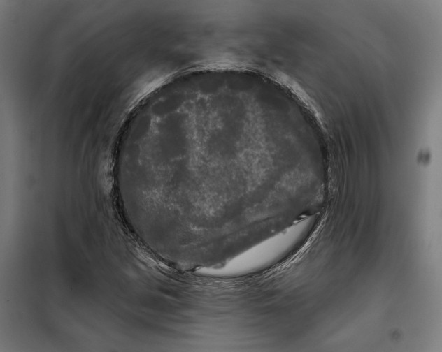 X0000097891213200804041302