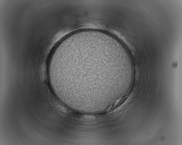 X0000097891215200804041302