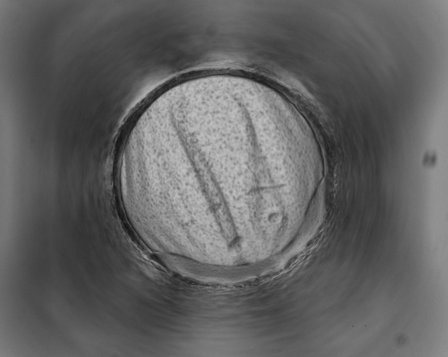 X0000097891216200804041302