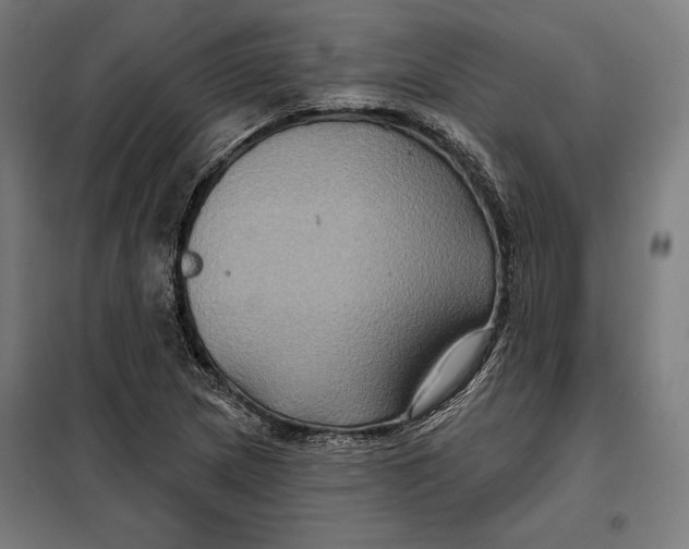 X0000097891217200804041302