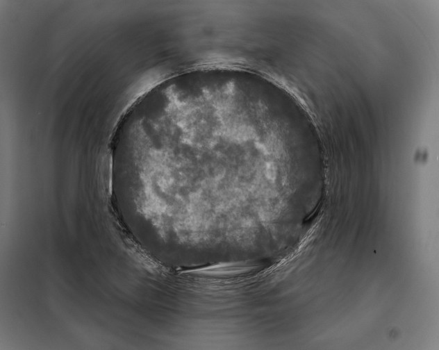 X0000097891219200804041302