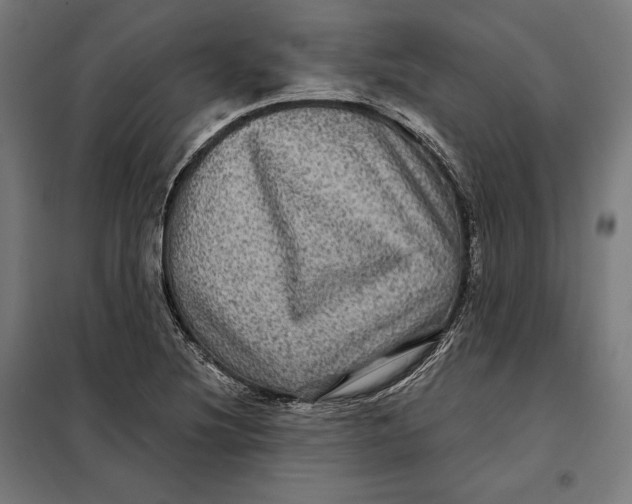 X0000097891220200804041302